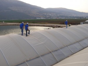 Workers walking on a Solarig Roof