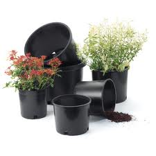 Thermoformed Pots