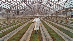 Fully-suited employee spraying chemicals in greenhouse