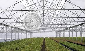 Fan in a greenhouse over crops