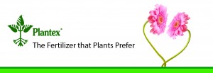 Plantex - Web Banner